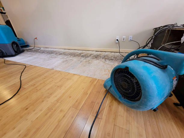 Professional Ceiling Water Damage Repair technician working in Mount Pleasant, UT